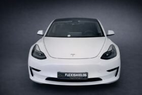 Tesla  Model 3 Performance AWD 2021